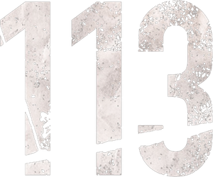 113 — logo