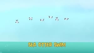Image Sea Otter Swim