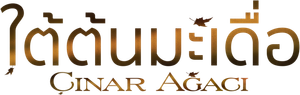 Çınar Ağacı — Logos 8