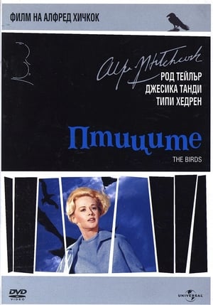 Poster Птиците 1963