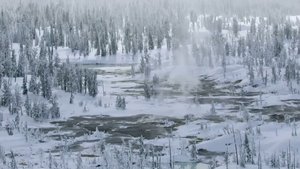 Yellowstone - Nature extrême film complet