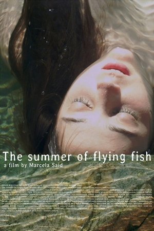 Poster The Summer of Flying Fish (2013)