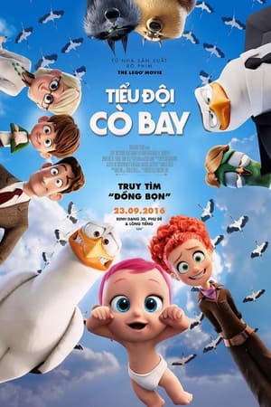 Poster Tiểu Đội Cò Bay 2016