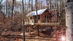 Treehouse Masters High Noon Saloon