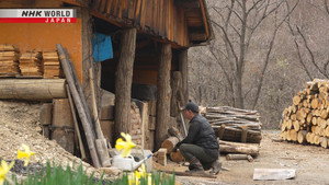 The Charcoal-Maker's Apprentice still