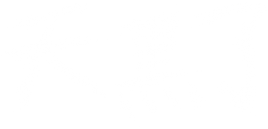 Night Has Come — Logos 4