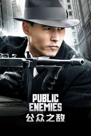 公众之敌 (2009)