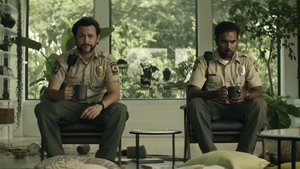 Images posters