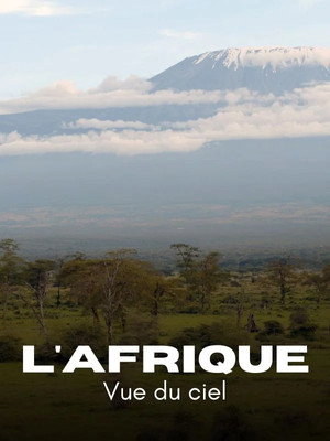  L'Afrique vue du ciel affiche 