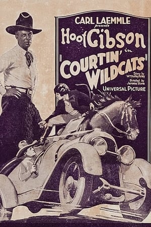 Poster Courtin' Wildcats (1929)