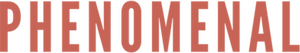 Phenomenal Media