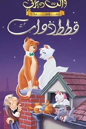 قطط ذوات (1970)