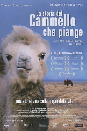 Poster di La storia del cammello che piange