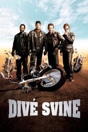 Poster Divé svine 2007