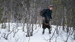 The Birdcatcher (El Cazador de Pájaros) 2017