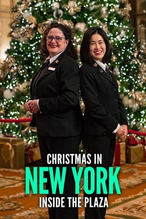 Poster Christmas in New York: Inside the Plaza (2020)