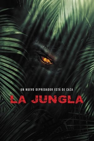 Image La jungla