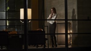 Nocturnal Animals (2016)