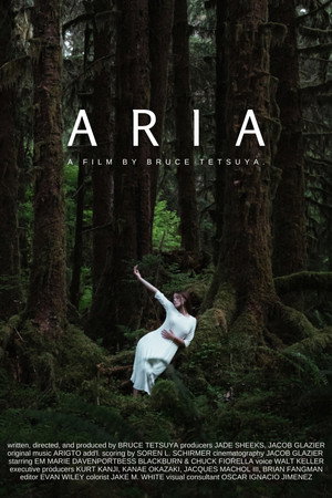 Aria 3