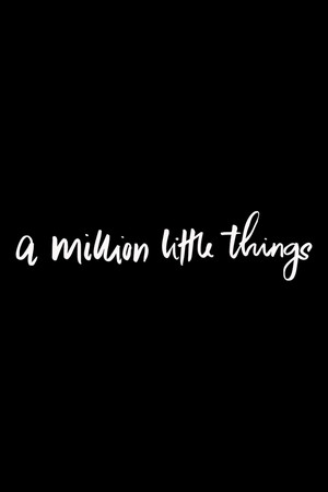 A Million Little Things 66