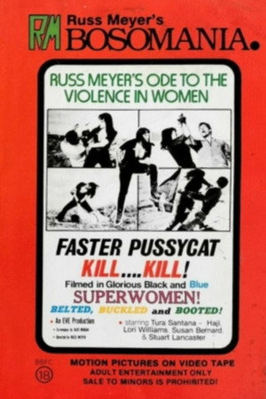 Постер фильма «Быстрее, кошечка! Убей, убей! (1965)» — (19 из 73)