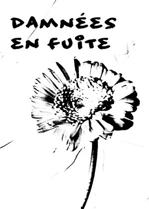 Image Damnées en fuite