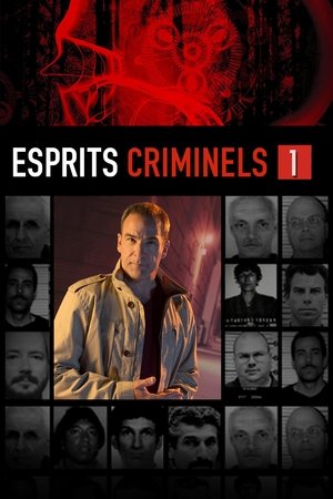 Esprits criminels: Saison 1