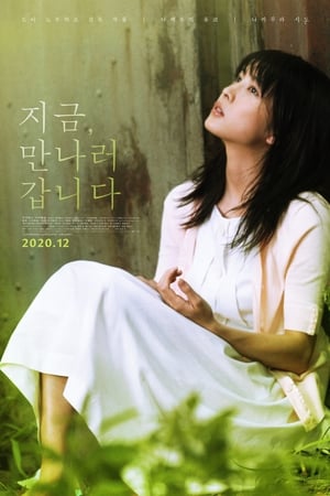 Poster 지금, 만나러 갑니다 2004