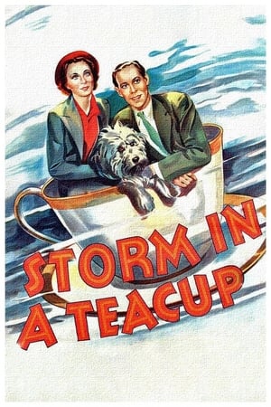 Poster Tormenta a la vista 1937