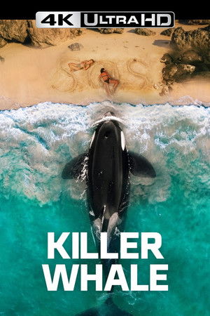 Killer Whale (2026)