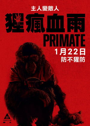 poster Primate