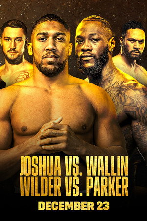 Anthony Joshua vs. Otto Wallin 14