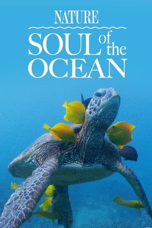 Poster Soul of the Ocean (2023)