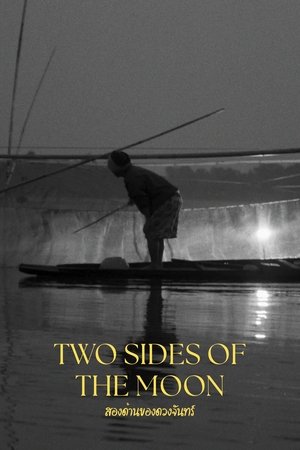 Two Sides of the Moon