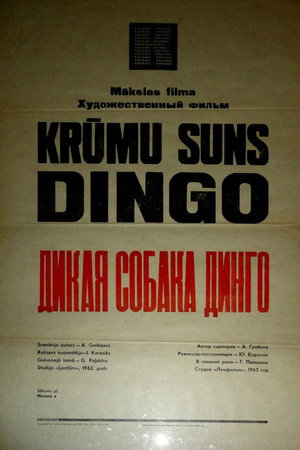 The Wild Dog Dingo 13