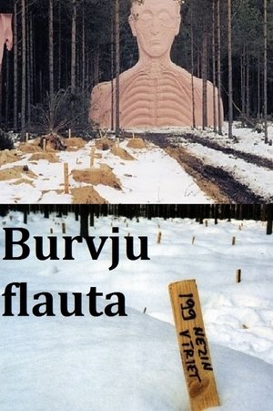 Image Burvju flauta