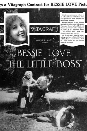Poster The Little Boss (1919)