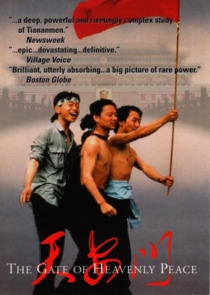 Poster 天安门 1995