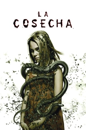 pelicula La cosecha (2007)