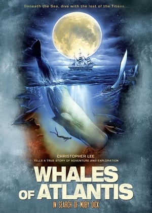 Poster Les baleines de l'Atlantide 2003
