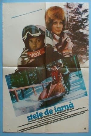 Poster Stele de iarnă (1980)