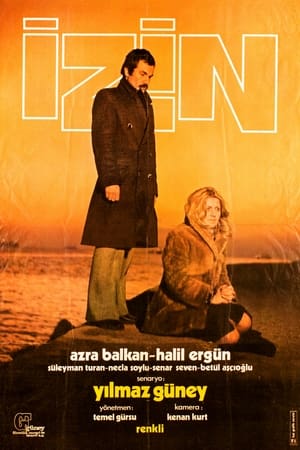 Poster İzin (1975)