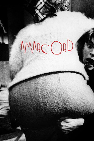 Amarcord 42