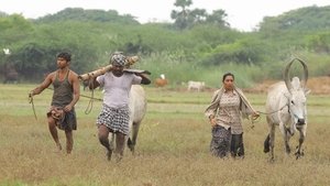 Bison: Kaalamaadan (2025) [Hindi + Tamil]