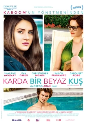 Poster Karda Bir Beyaz Kuş 2014