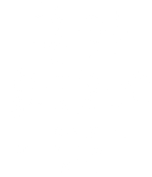 Extraordinary You — Logos 5