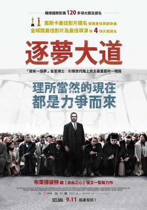 Poster 塞尔玛 2014