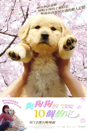 Poster 狗狗与我的十个约定 2008