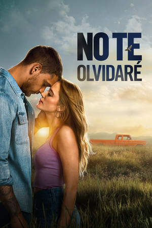 Póster de No te olvidaré - Ver online y descargar en vercinelatino.com
