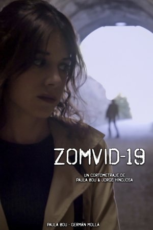 Poster Zomvid-19 2020